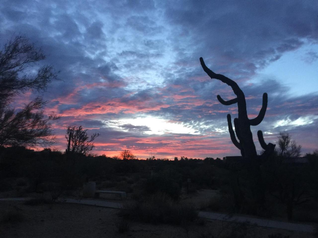 Spur Cross Inn Cave Creek Kültér fotó